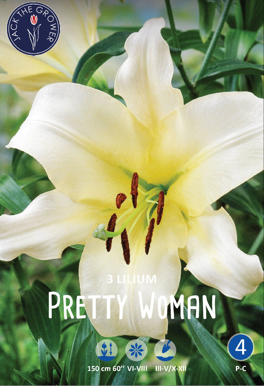 lily pretty woman flower Lilium Pretty Woman – Jack the Grower