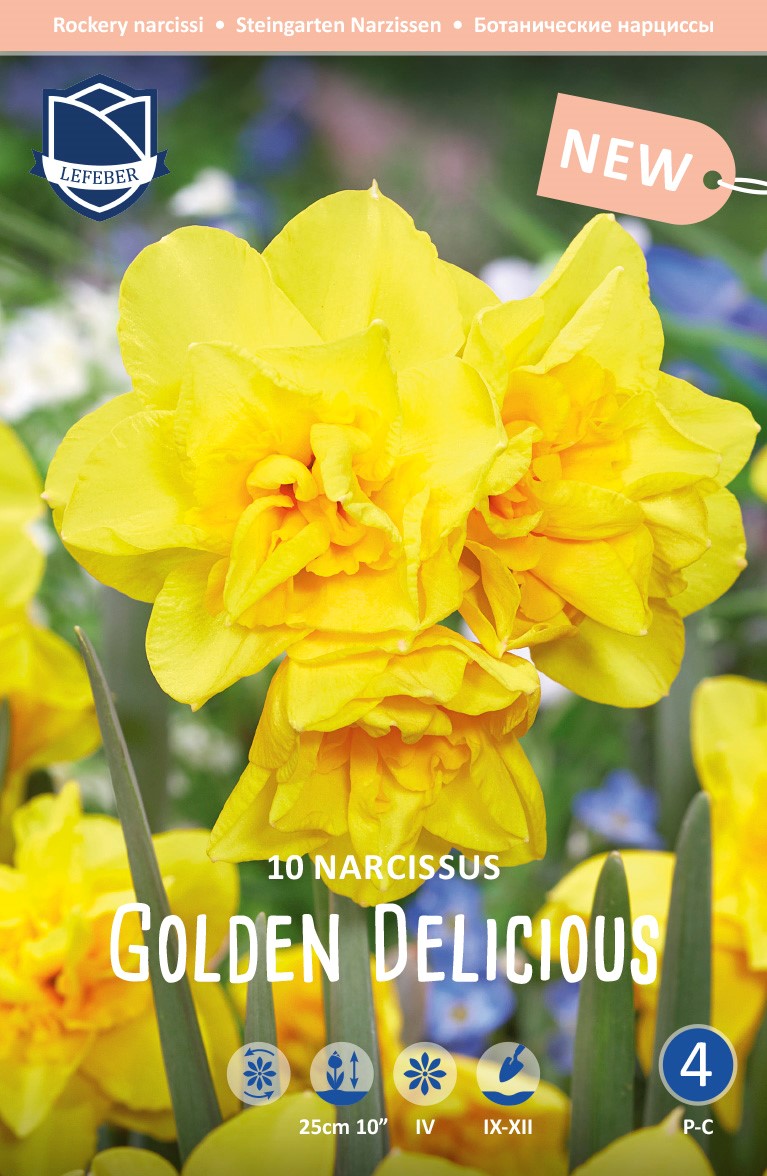Narcissus Golden Delicious