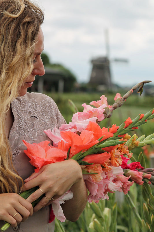 Planting Gladioli Bulbs – Get More Out of Your Gladioli with These Tips