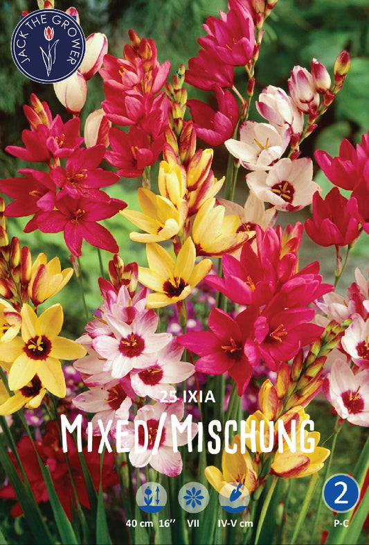 Ixia Mixed