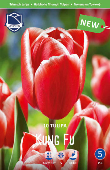 Tulip Kung Fu Jack the Grower