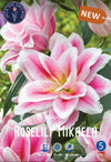 Lilium Roselily Mikaela Jack the Grower