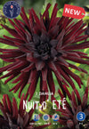 Dahlia Nuit d'Eté Jack the Grower
