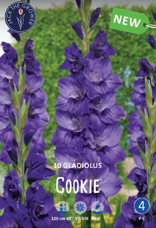 Gladiolus Cookie