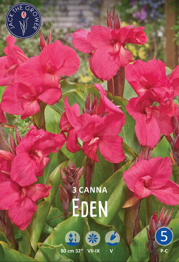 Canna Eden