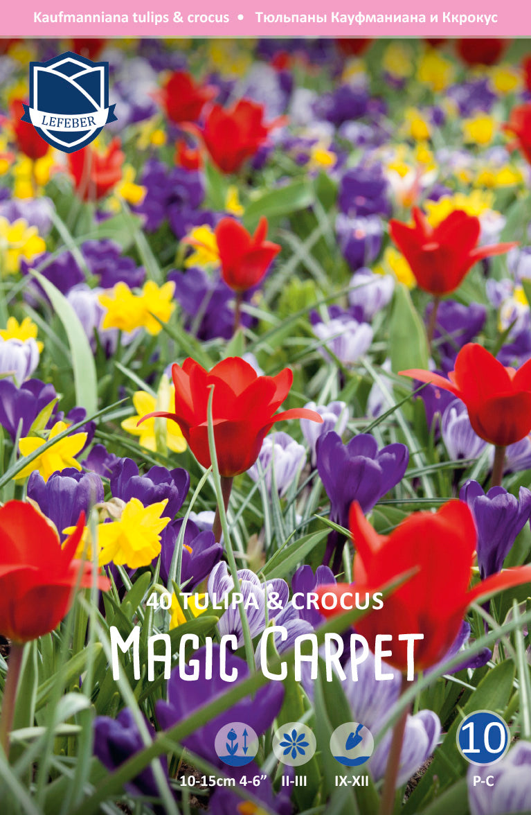 Tulipa & Crocus Magic Carpet