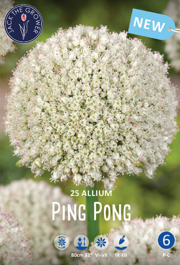 Allium Ping Pong Jack the Grower