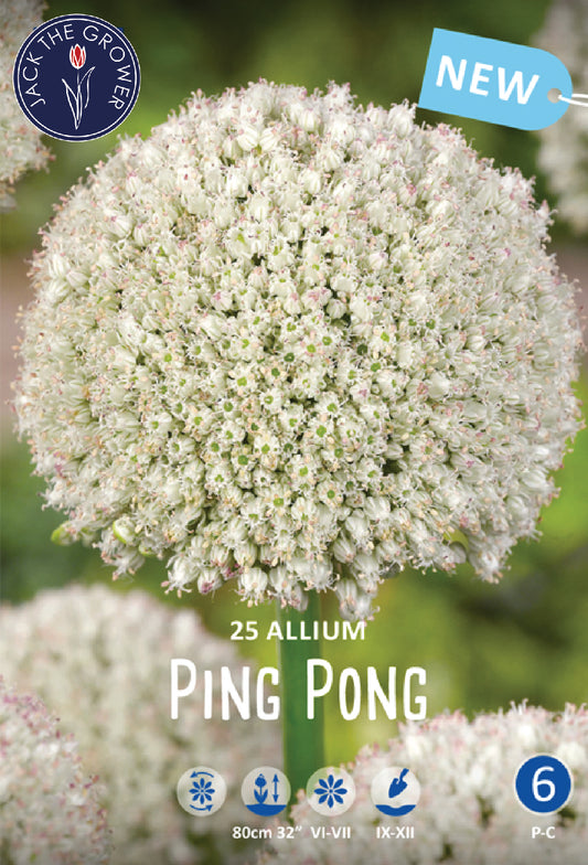 Allium Ping Pong Jack the Grower