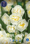Narcissus Bridal Crown Jack the Grower
