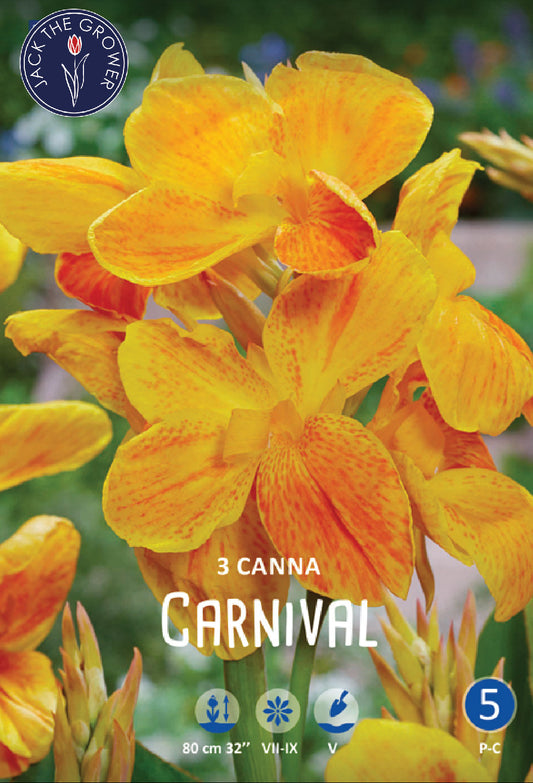 Canna Carnival