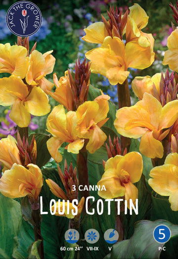 Canna Louis Cottin