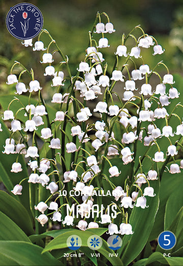 Convallaria Majalis