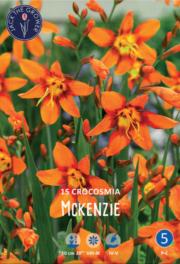 Crocosmia Mckenzie