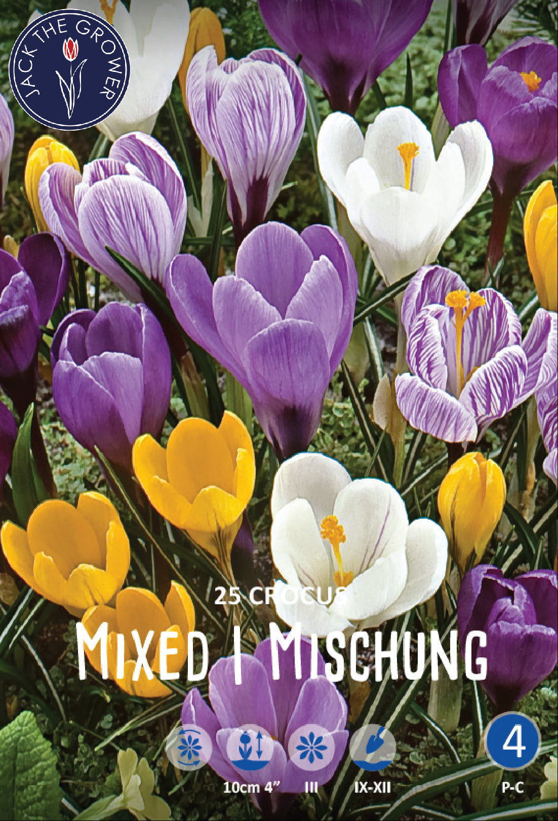 Crocus Mixed Jack the Grower