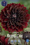 Dahlia Karma Choc