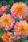 Dahlia Life Style