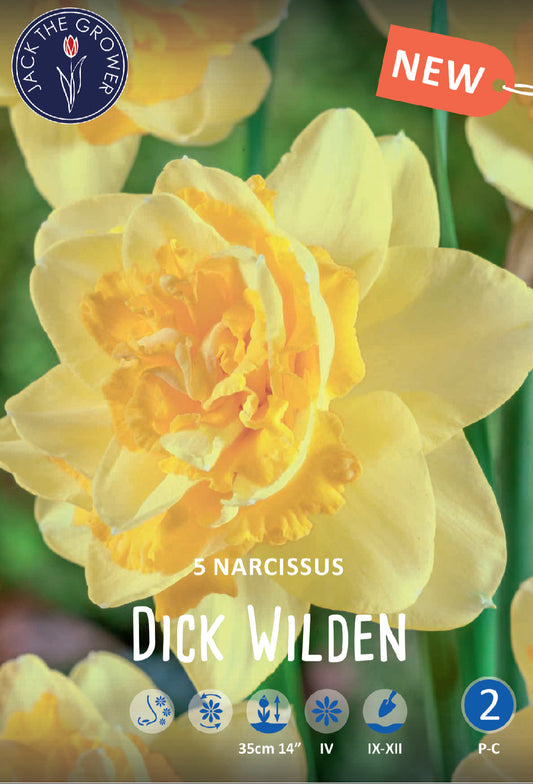Narcissus Dick Wilden Jack the Grower