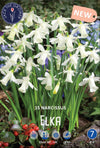 Narcissus Elka Jack the Grower