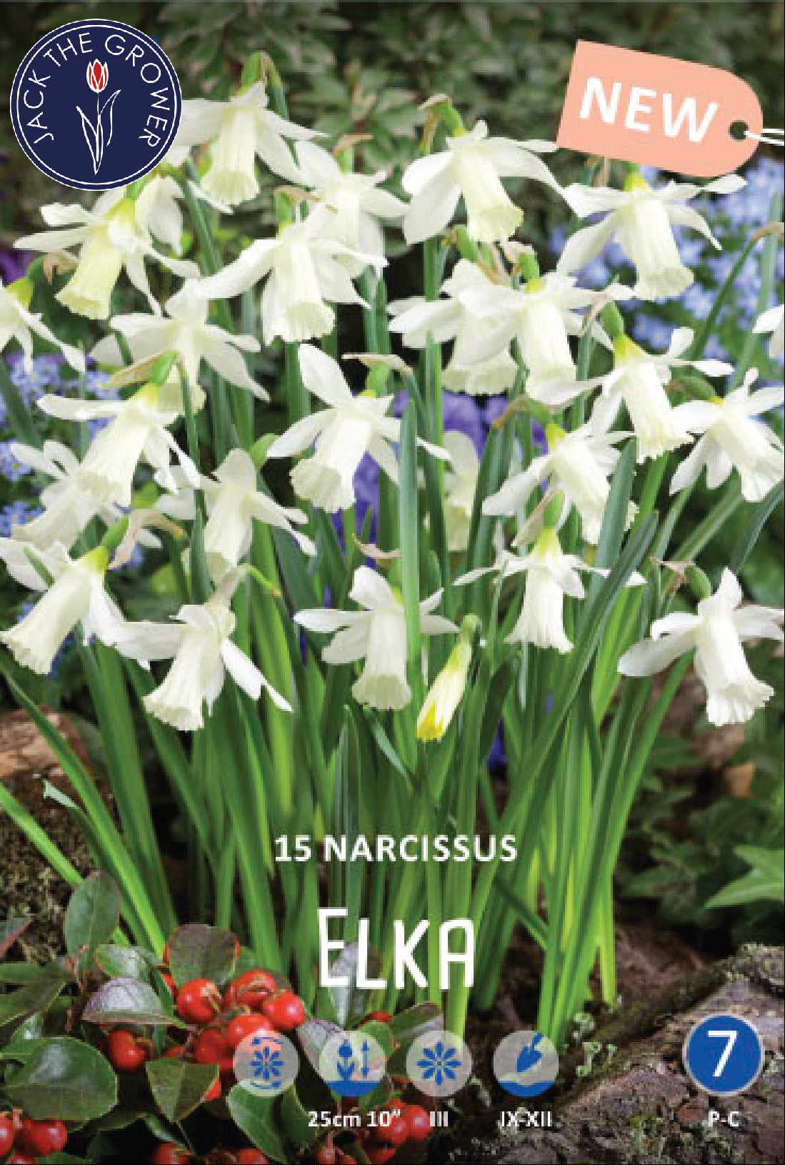 Narcissus Elka Jack the Grower