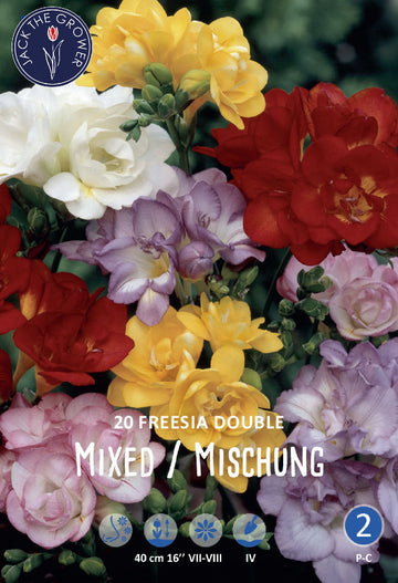 Freesia Double Mixed