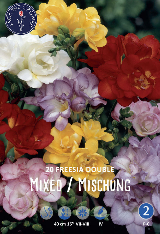 Freesia Double Mixed