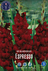 Gladiolus Espresso®