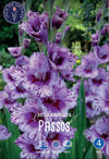 Gladiolus Passos®
