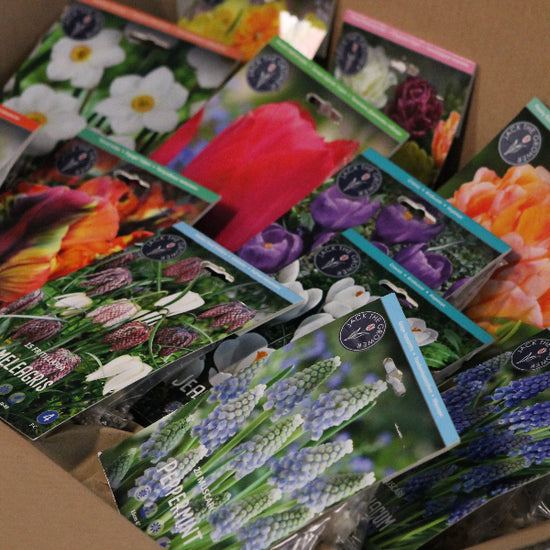 Mystery Box Jack the Grower