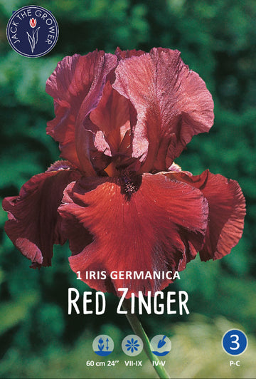 Iris Germanica Red Zinger