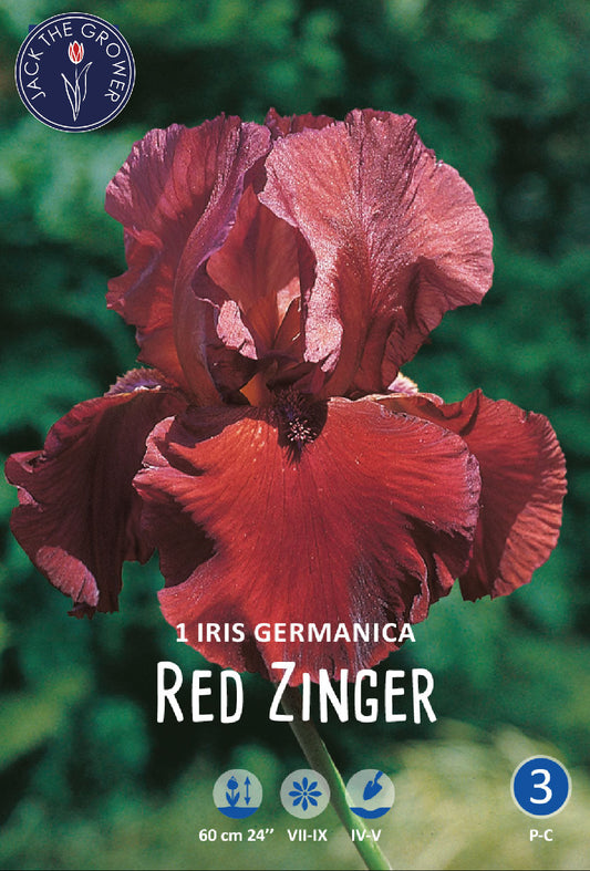 Iris Germanica Red Zinger