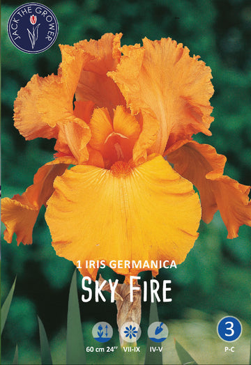 Iris Germanica Sky Fire