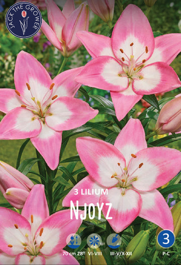 Lilium Njoyz