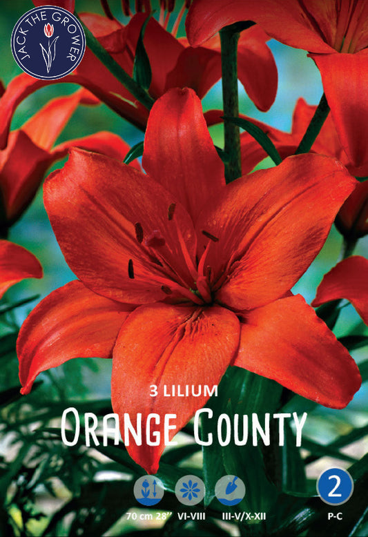 Lilium Orange County