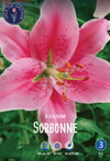Lilium Sorbonne