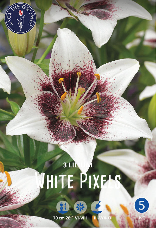 Lilium White Pixels