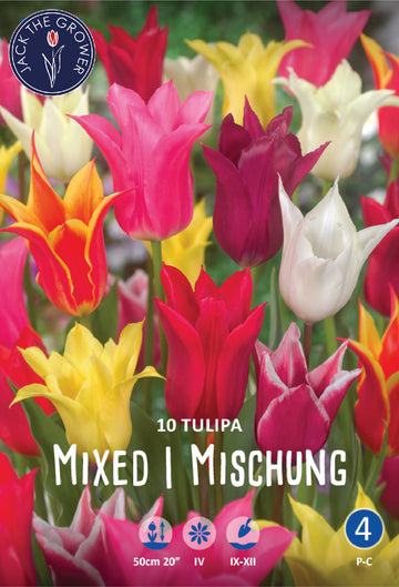 Tulipa Lily Flowering Mixed Jack the Grower
