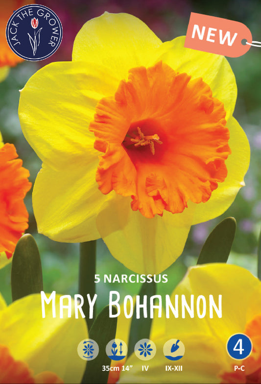 Narcissus Mary Bohannon Jack the Grower