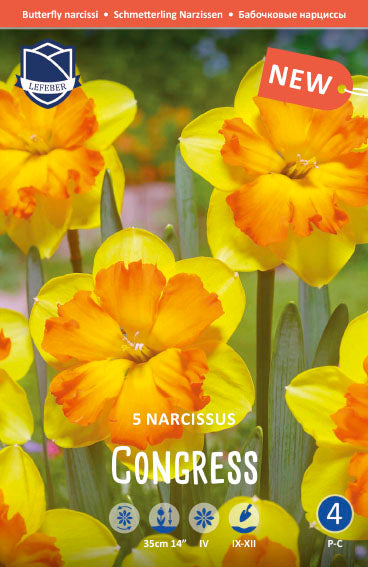 Narcissus Congress Jack the Grower