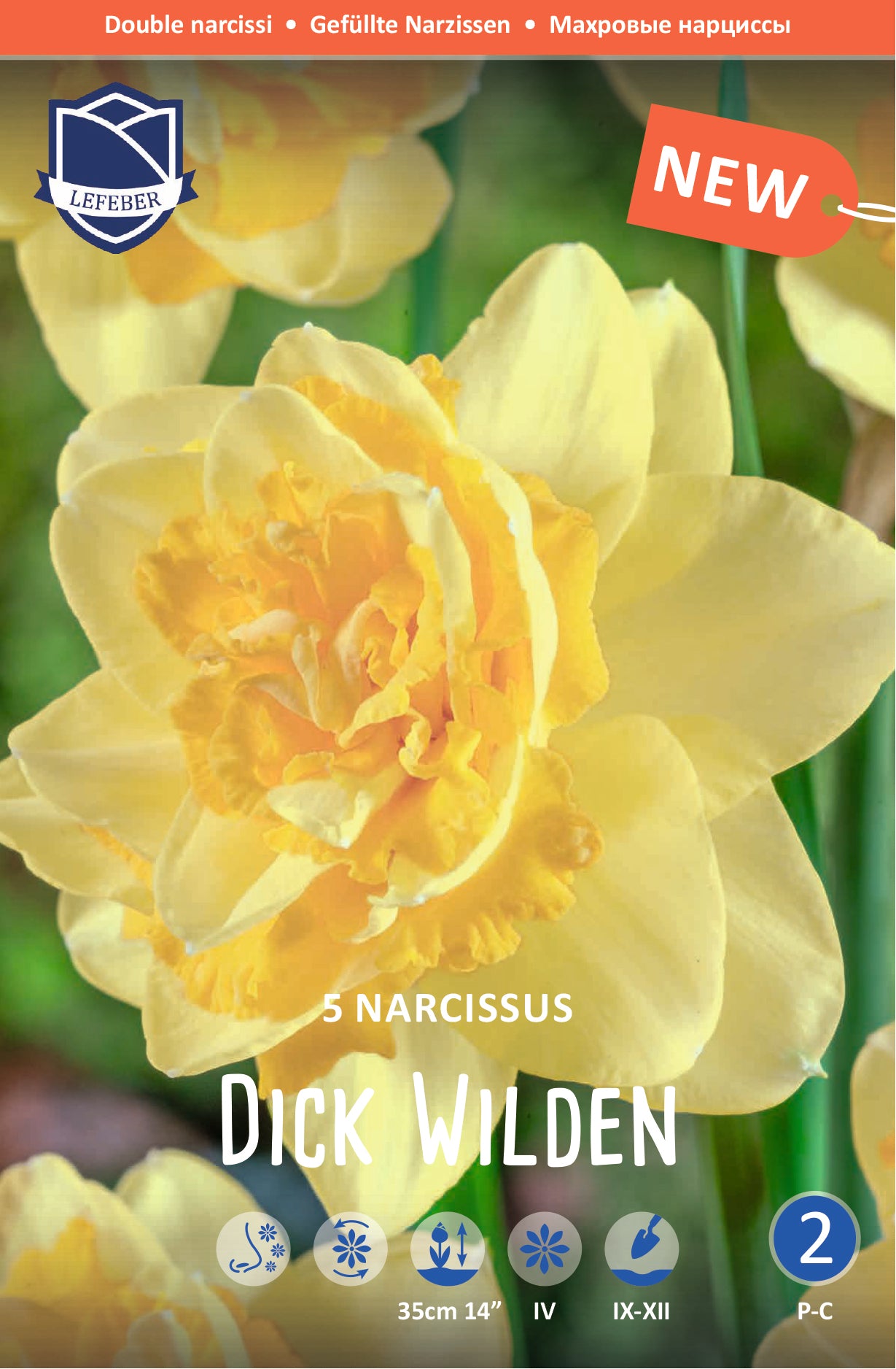 Narcissus Dick Wilden Jack the Grower