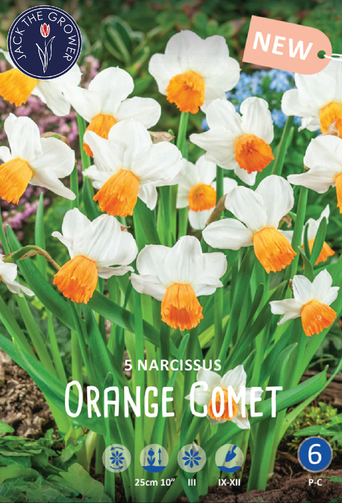 Narcissus Orange Comet Jack the Grower