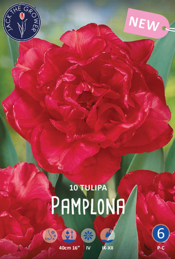 Tulipa Pamplona Jack the Grower