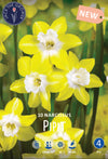 Narcissus Pipit Jack the Grower