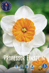 Narcissus Professor Einstein Jack the Grower