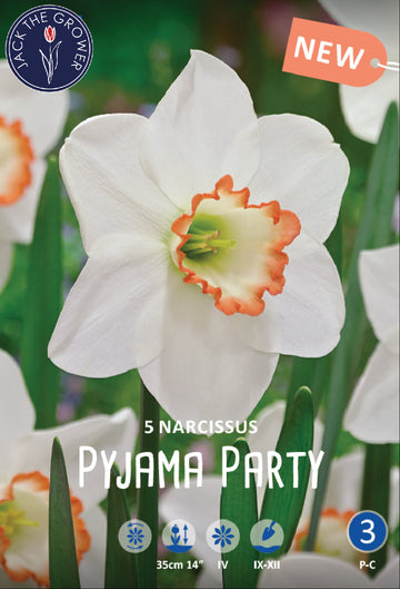 Narcissus Pyjama Party Jack the Grower