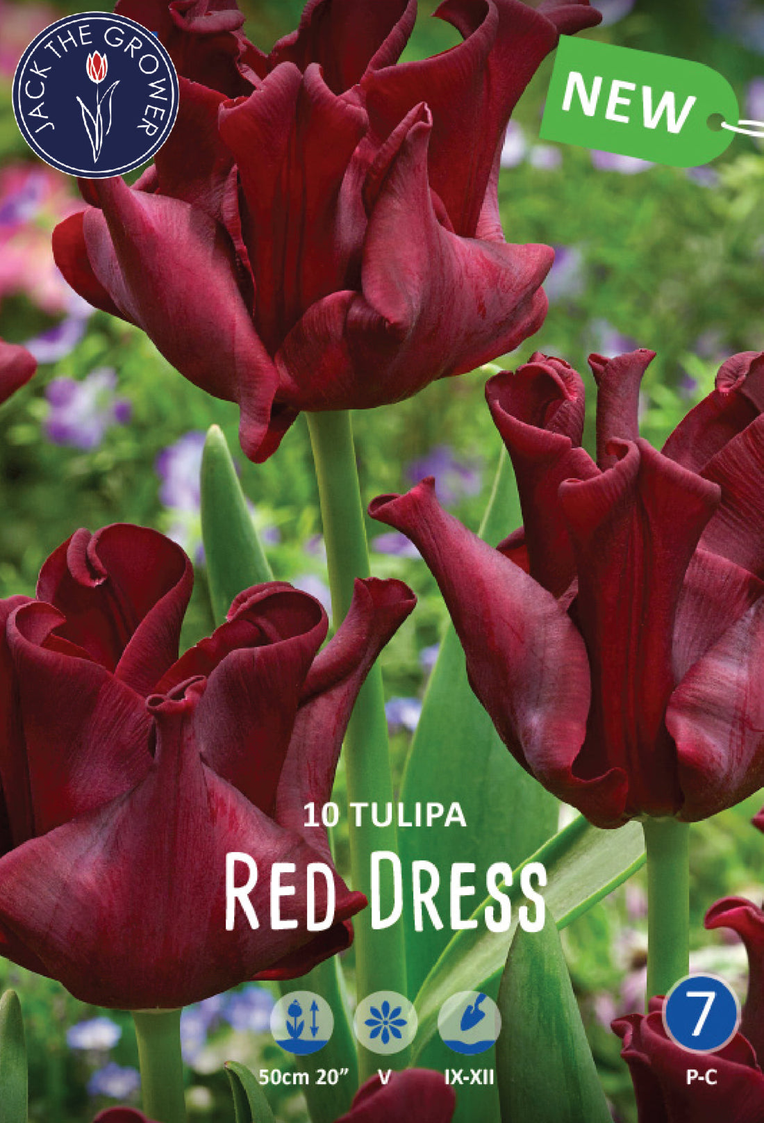 Tulipa Red Dress Jack the Grower