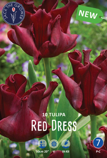 Tulipa Red Dress Jack the Grower