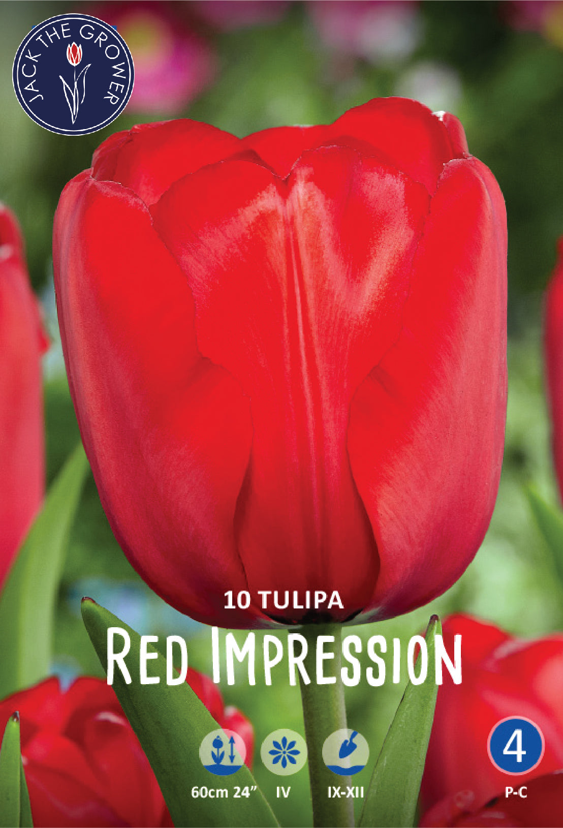 Tulipa Red Impression®