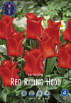 Tulipa Red Riding Hood Jack the Grower