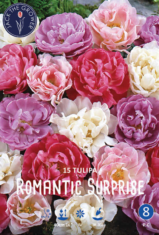 Tulipa Romantic Surprise Jack the Grower