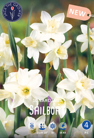 Narcissus Sailboat Jack the Grower